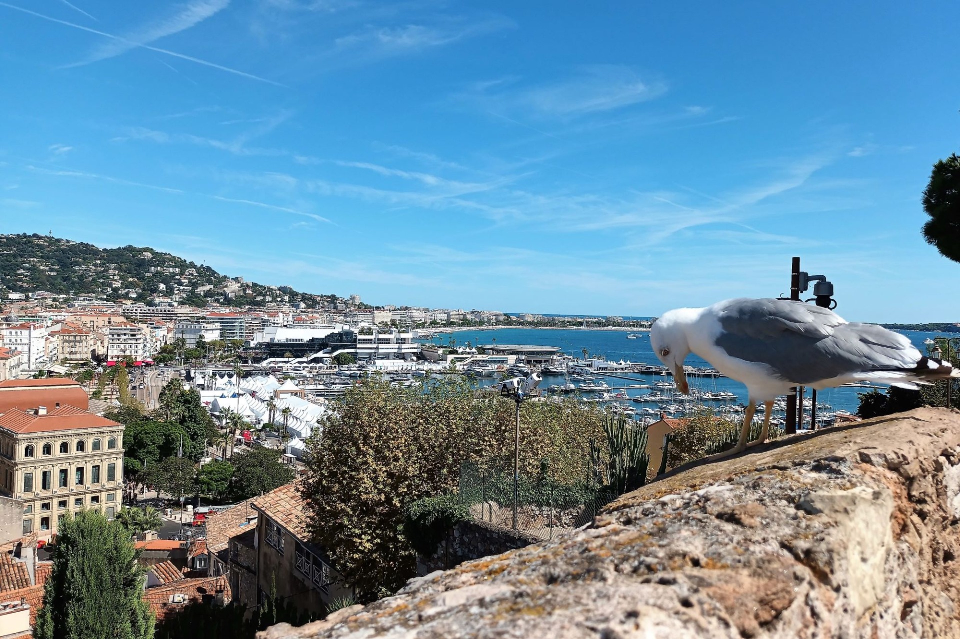 Cannes - pohled z vršku Suquet 